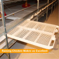 China fabricante H Tipo Automatic Broiler Poultry Farm Cage Design